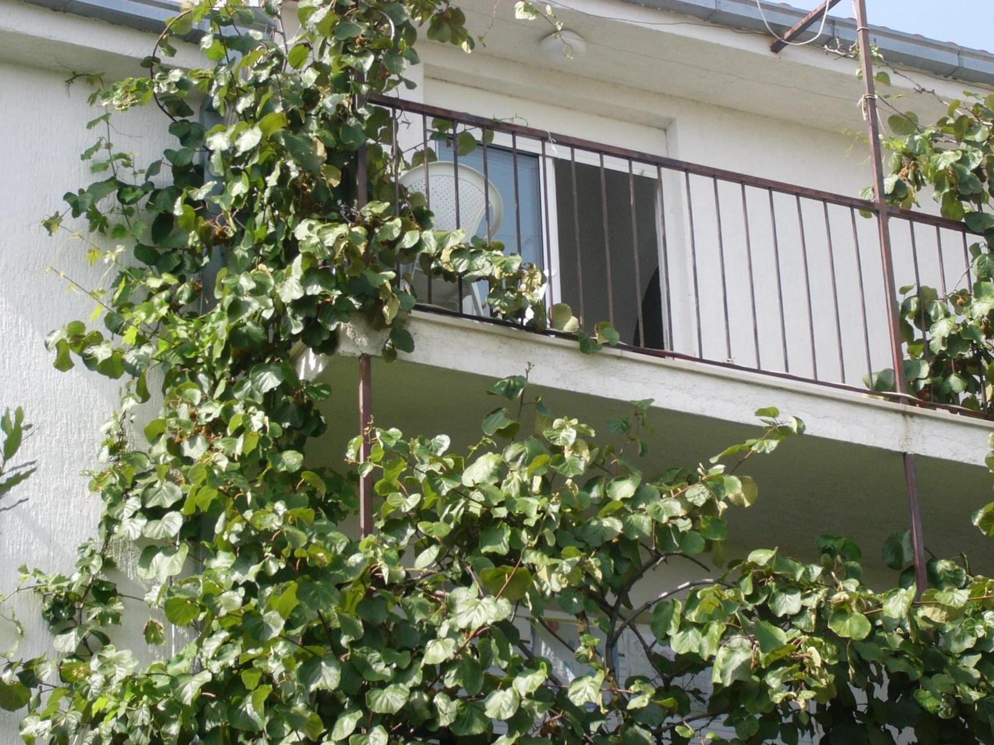 Apartments Prizmic Podstrana Kültér fotó