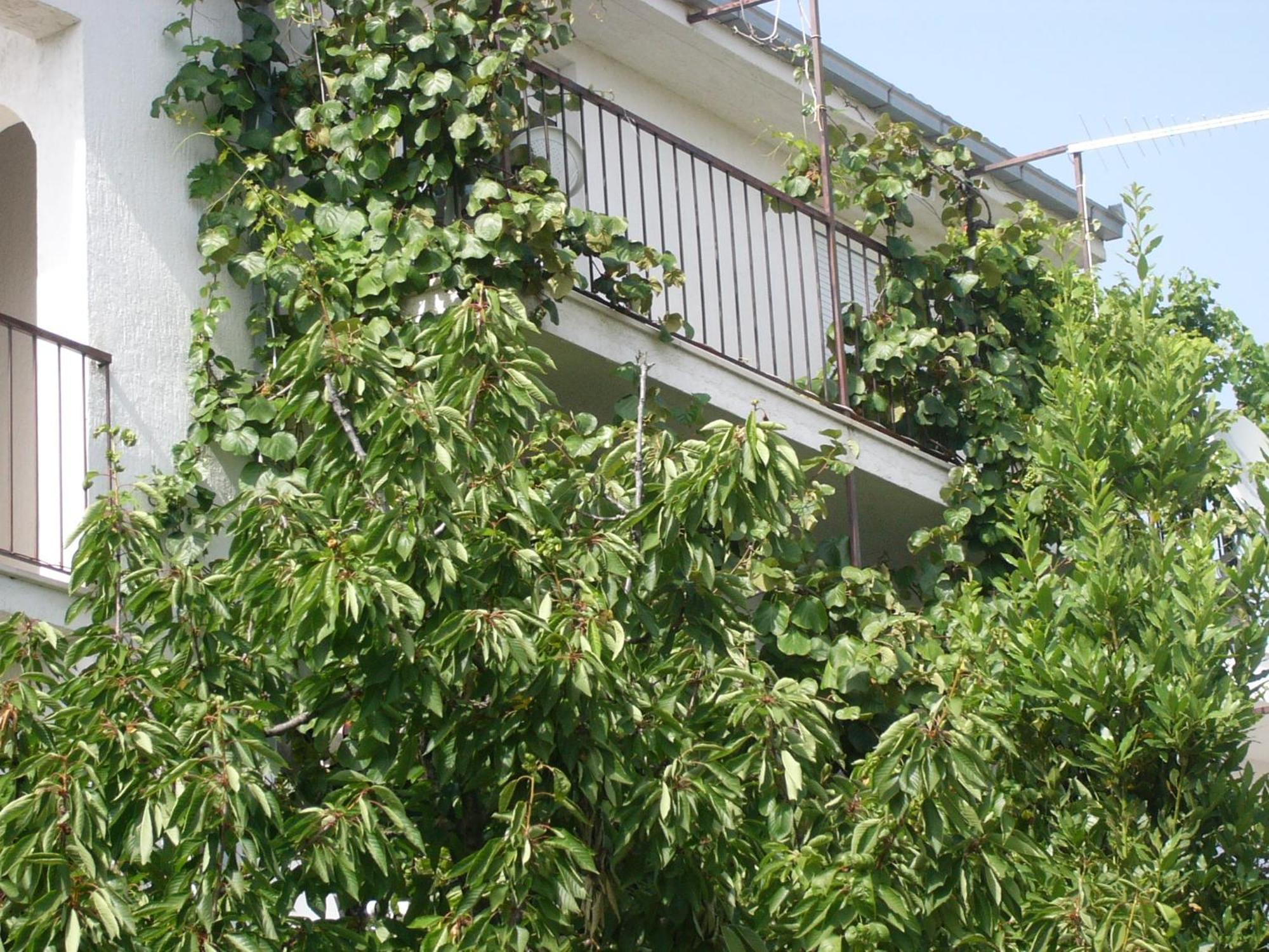 Apartments Prizmic Podstrana Kültér fotó